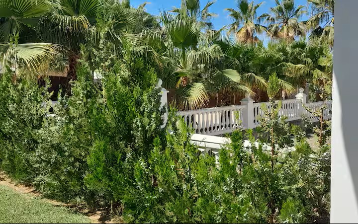 Apartamento 7 Gail 19