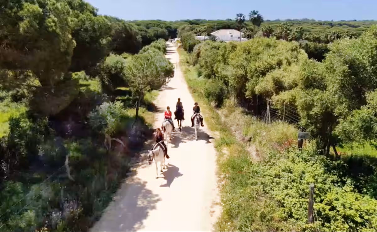 Foto generica Finca 9